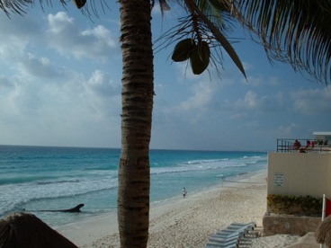 Mex 016